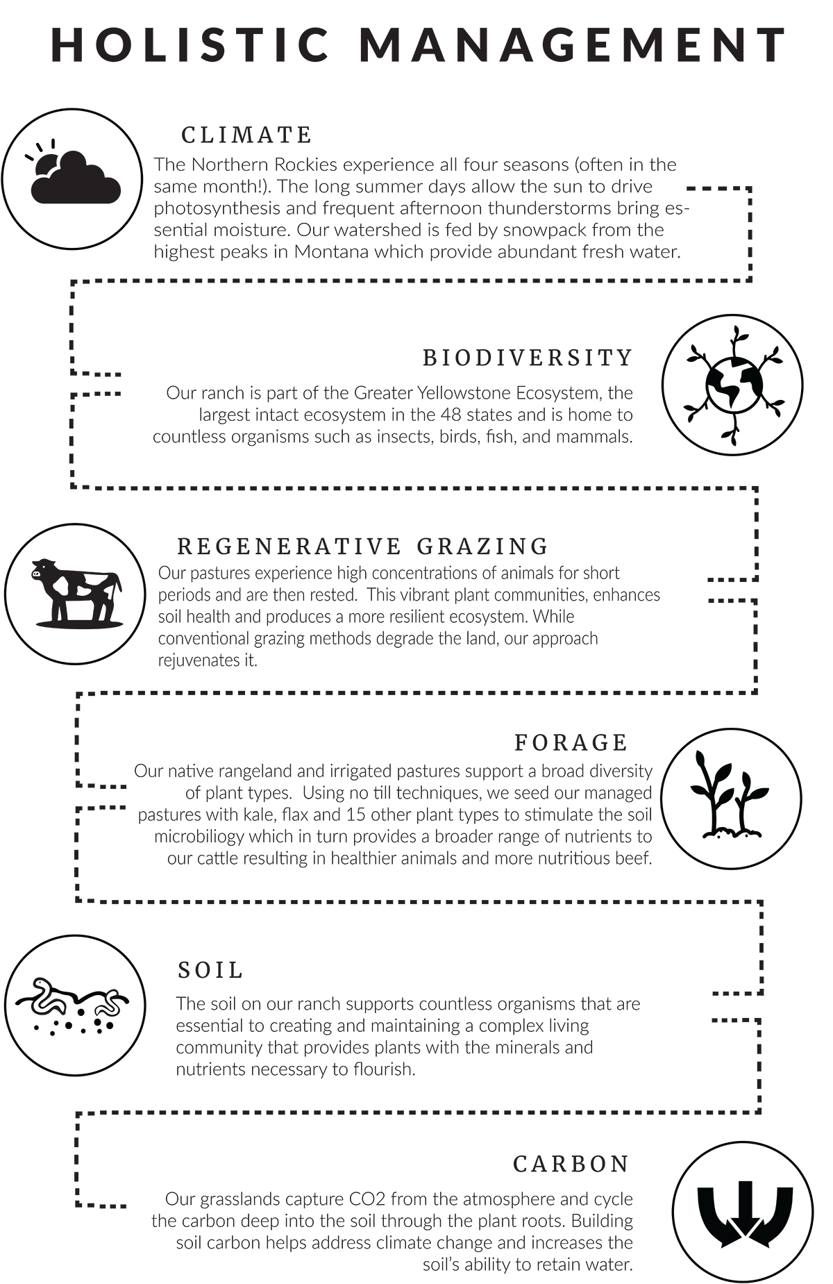 Hay Mama Pastured Raised Cattle Beef