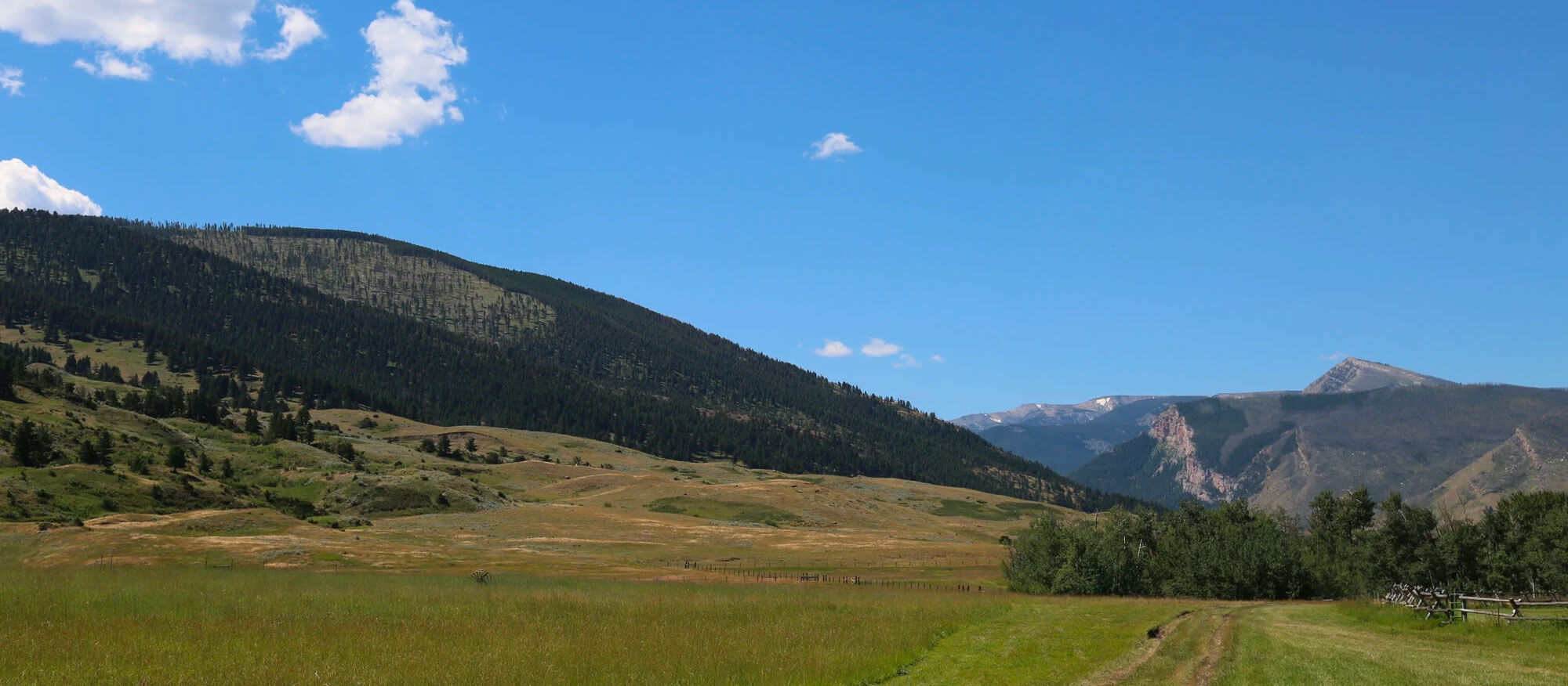 Hay Mama Pastured Raised Cattle Beef
